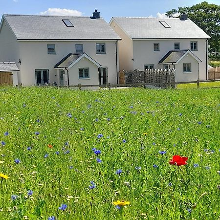 Myddfai Brecon Beacons Cottage With Stunning Country Views מראה חיצוני תמונה