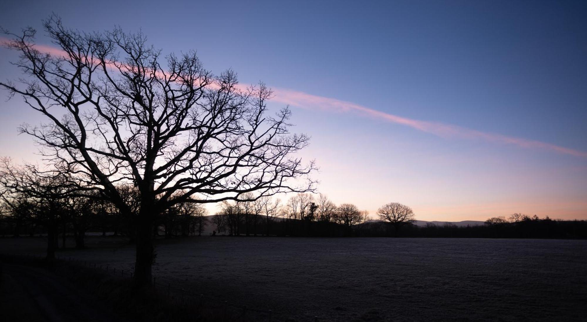 Myddfai Brecon Beacons Cottage With Stunning Country Views מראה חיצוני תמונה