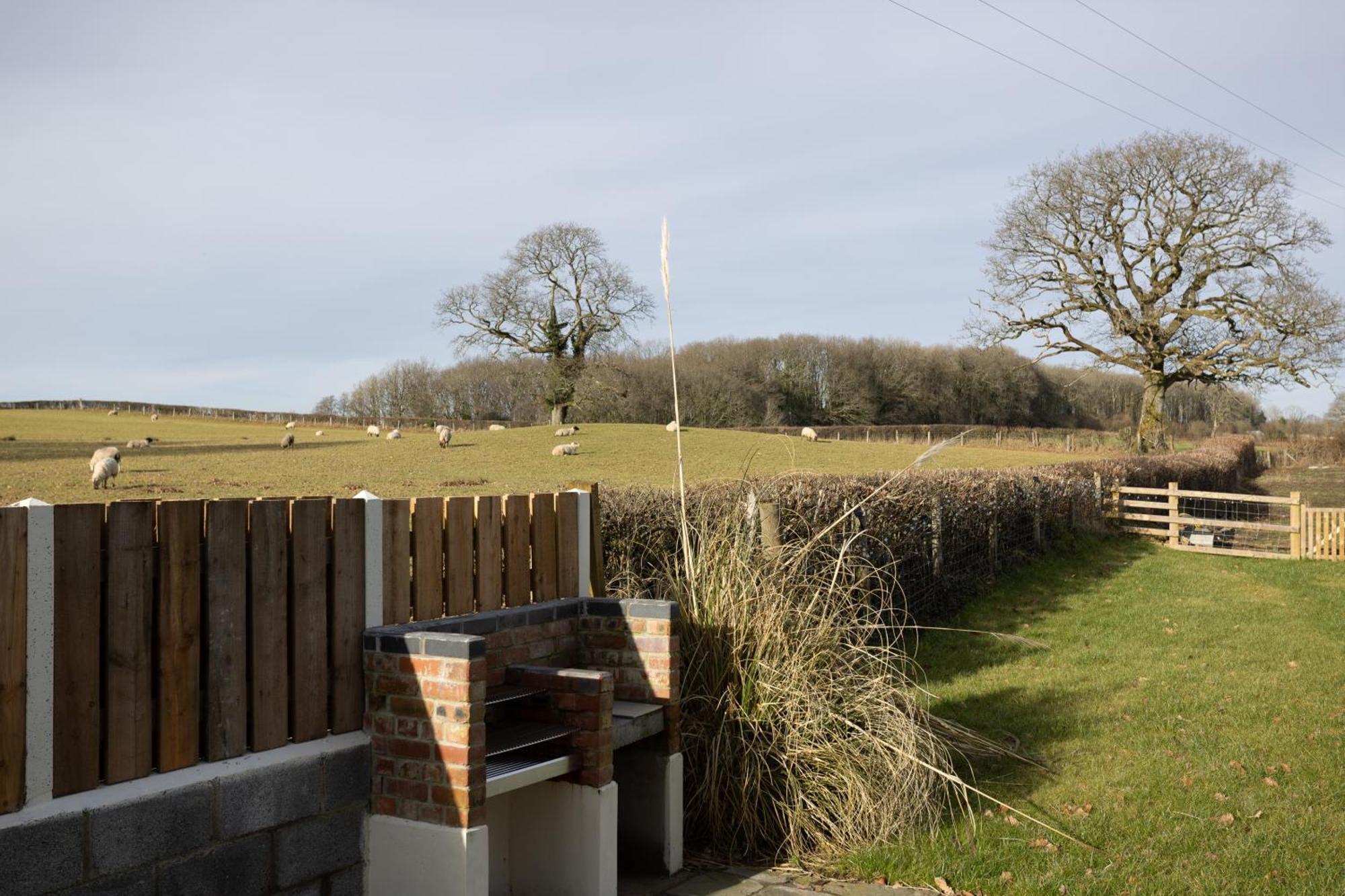 Myddfai Brecon Beacons Cottage With Stunning Country Views מראה חיצוני תמונה