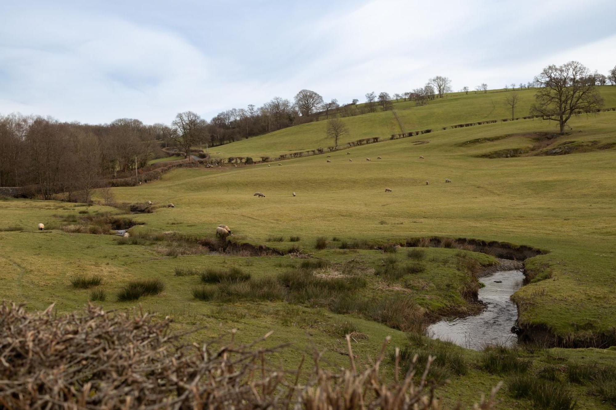 Myddfai Brecon Beacons Cottage With Stunning Country Views מראה חיצוני תמונה