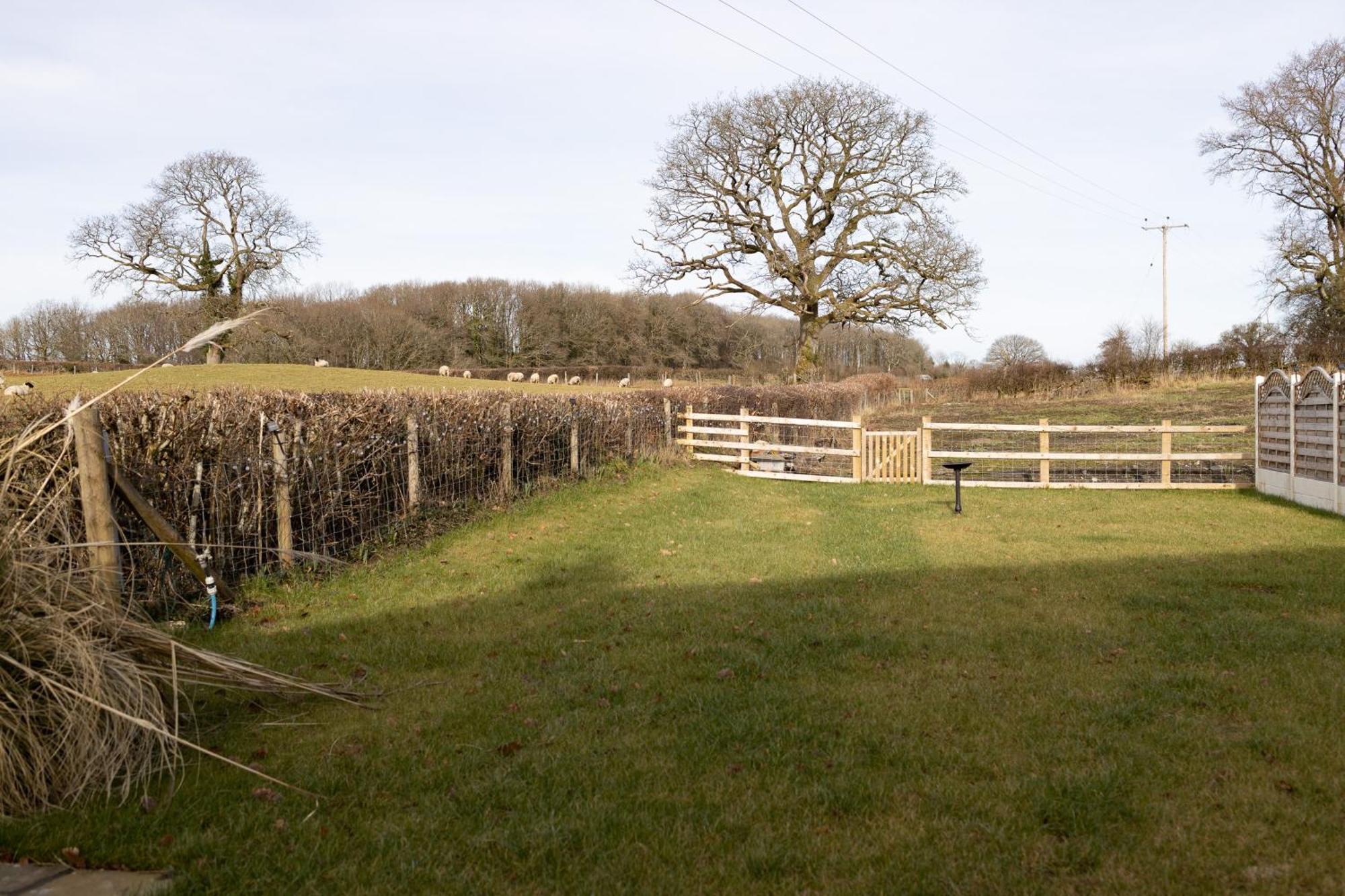 Myddfai Brecon Beacons Cottage With Stunning Country Views מראה חיצוני תמונה