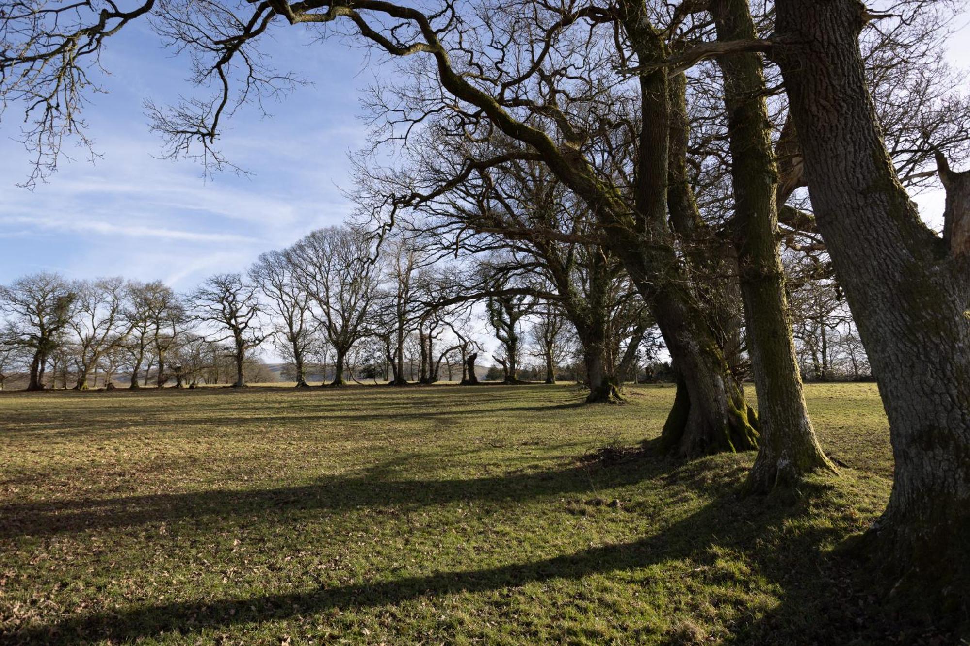 Myddfai Brecon Beacons Cottage With Stunning Country Views מראה חיצוני תמונה