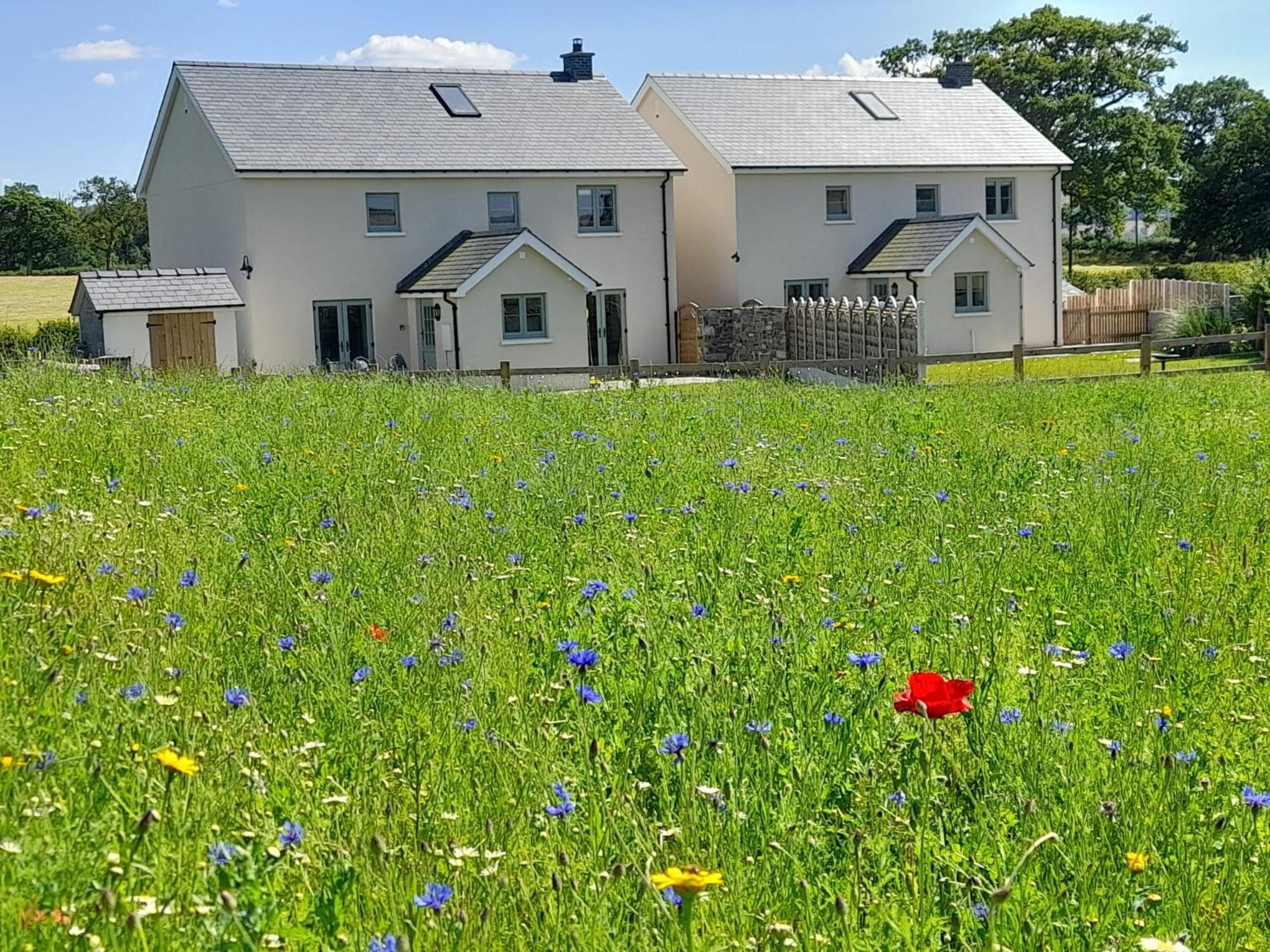 Myddfai Brecon Beacons Cottage With Stunning Country Views מראה חיצוני תמונה